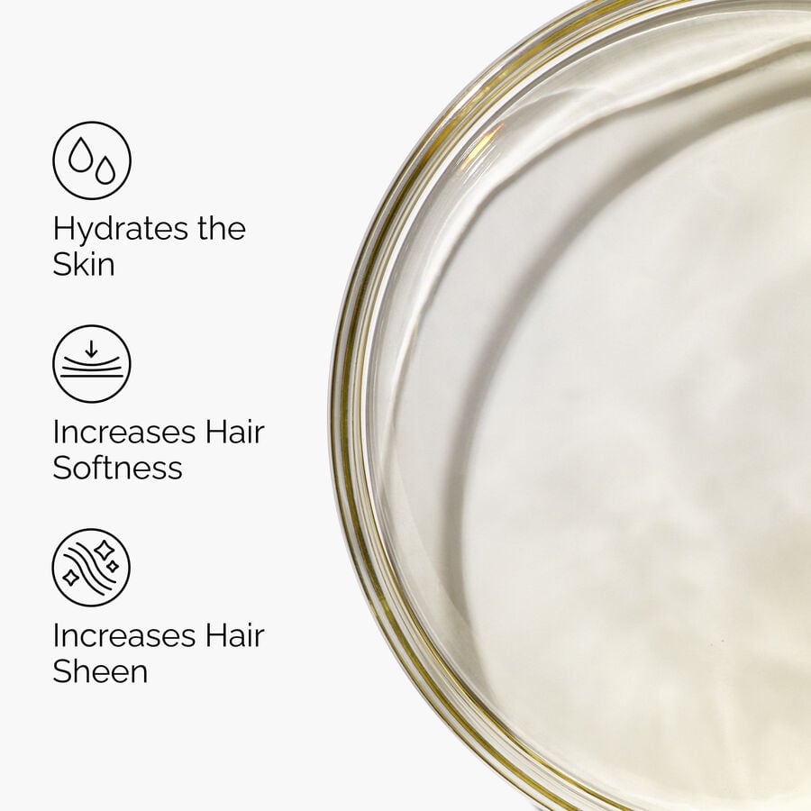 100-organic-cold-pressed-moroccan-argan-oil-r3 FY25-D41247-ORD-Web-PDP-100-Argan-Oil-1x1-EN-3.jpg