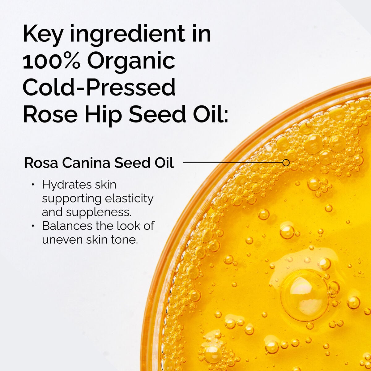 100-organic-cold-pressed-rose-hip-seed-oil-a3 FY25-D41247-ORD-Web-PDP-100-Rose-Hip-Oil-1x1-EN-2.jpg