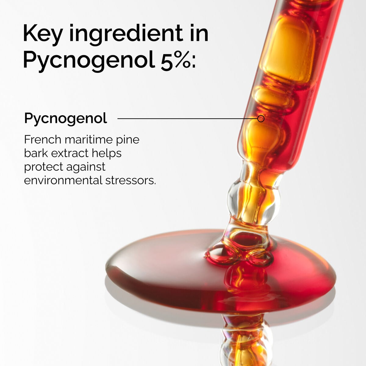 pycnogenol-5-u4 FY25-D41247-ORD-Web-PDP-Pyc-5pct-1x1-EN-2a.jpg