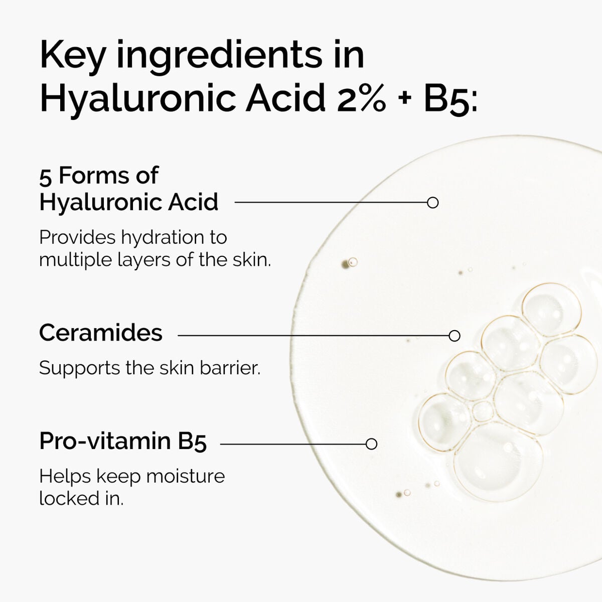 hyaluronic-acid-2-b5-with-ceramides-p1 ord-hyaluronic-acid-2pct-b5-hydrating-serum-ingredients-graphic.jpg