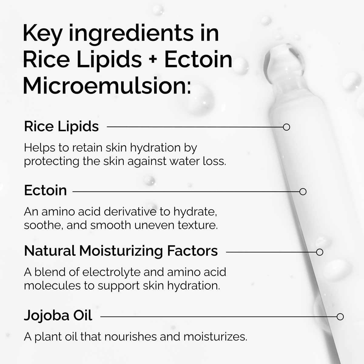 rice-lipids-ectoin-microemulsion-p4 ord-rice-lipids-ectoin-microemulsion-key-ingredients.png