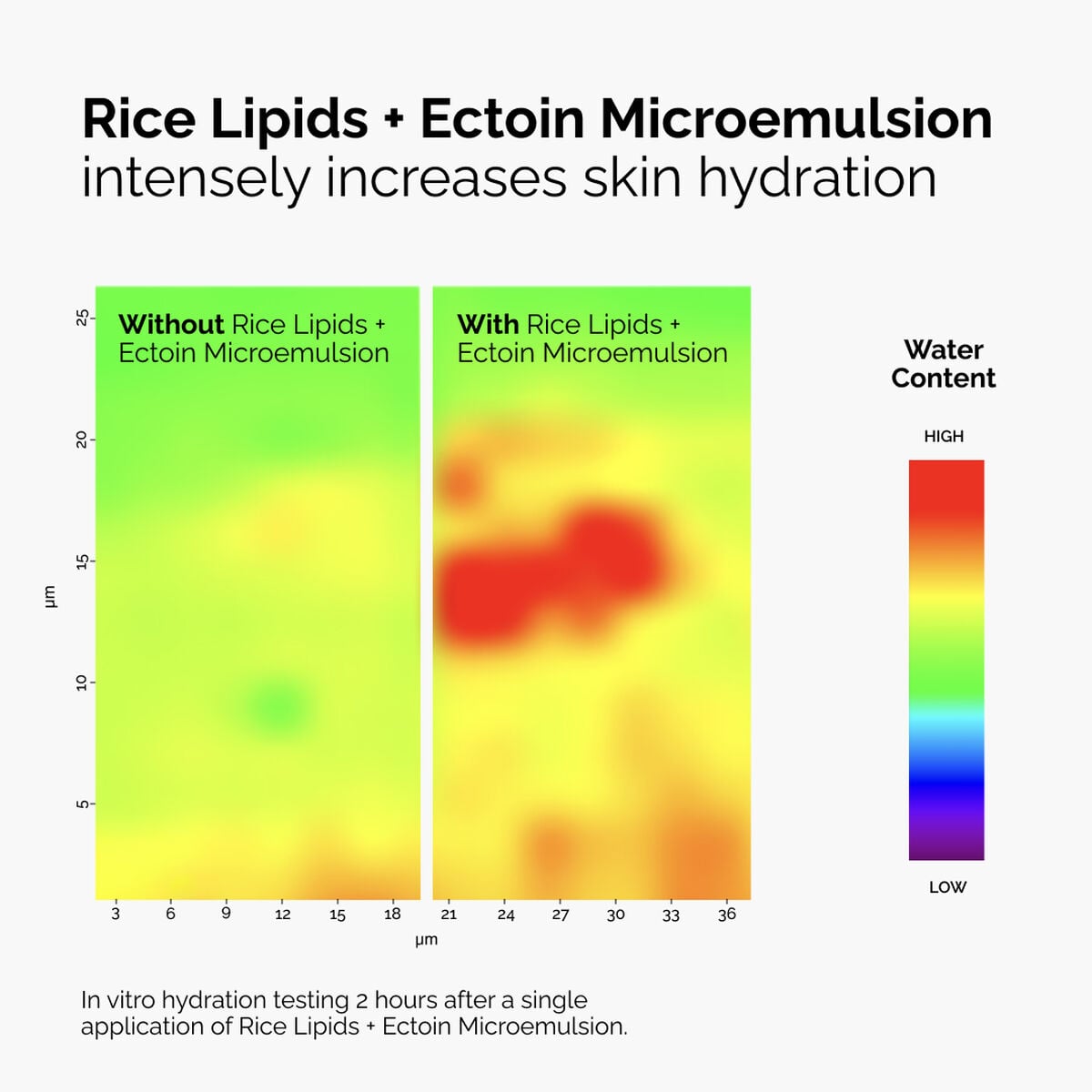 rice-lipids-ectoin-microemulsion-p4 ord-rice-lipids-ectoin-microemulsion-thermal-before-after.jpg